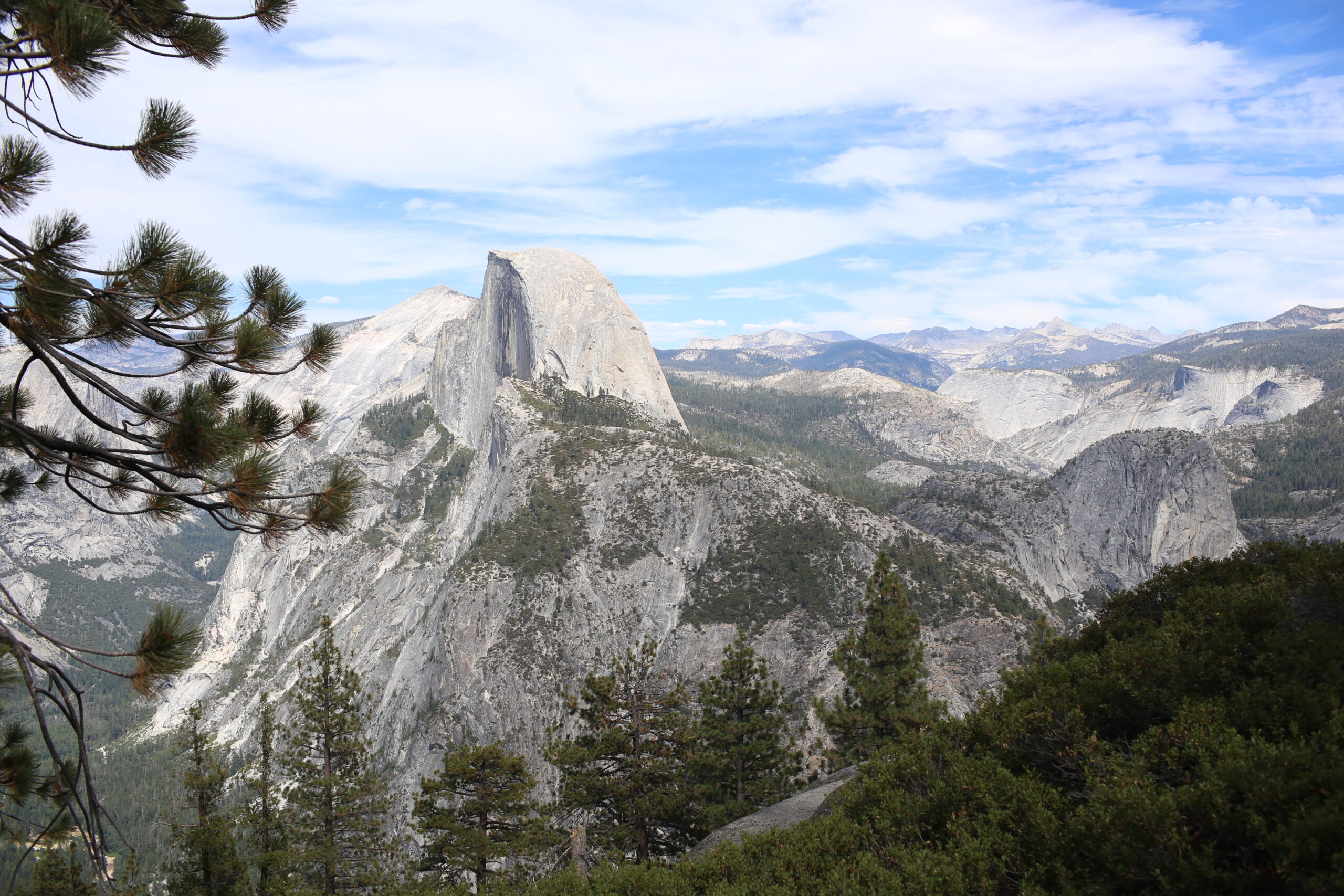🌳 나의 믿음의 여정