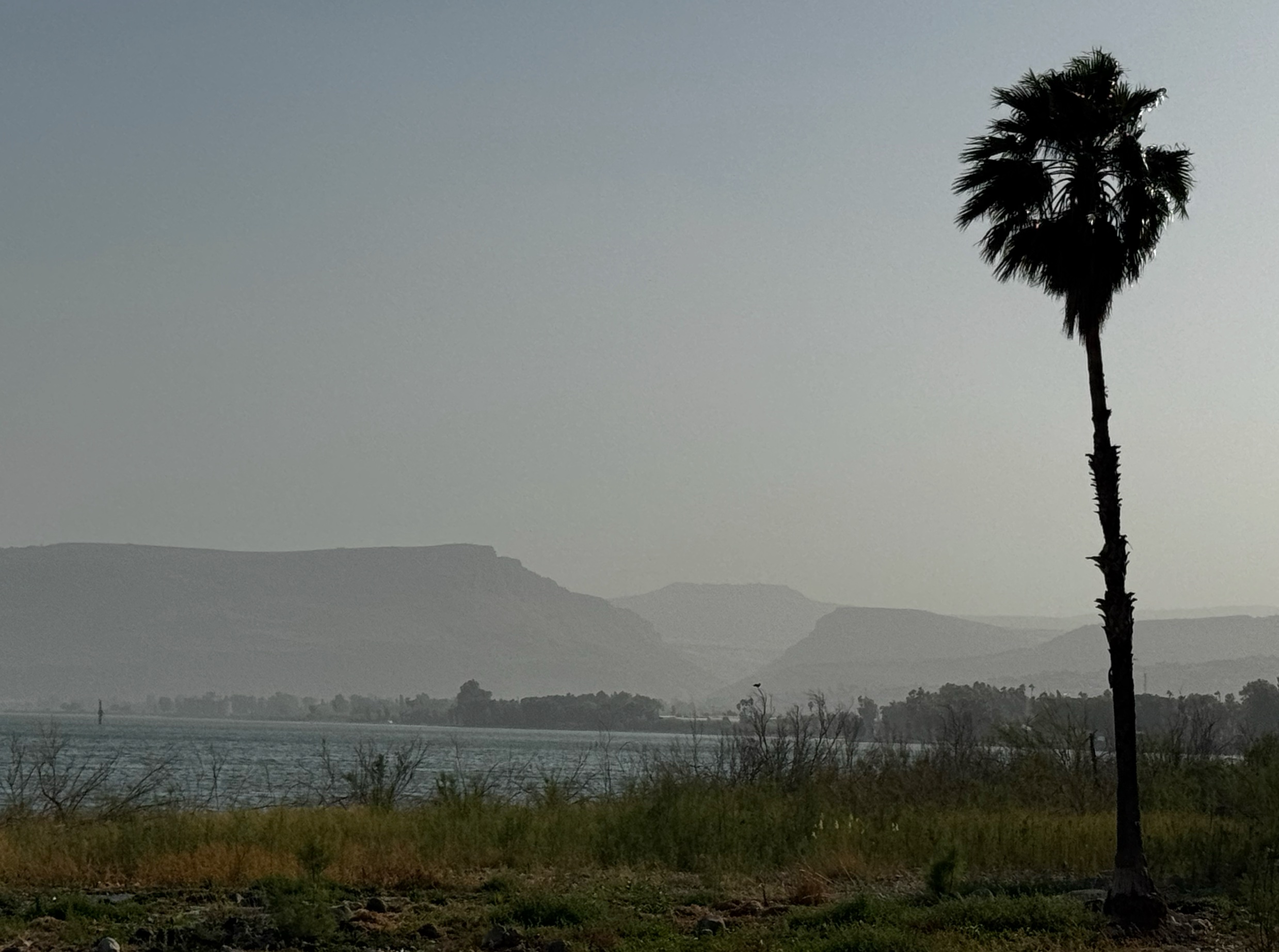 🕚 The Quiet Problem with Our Millennial Labels